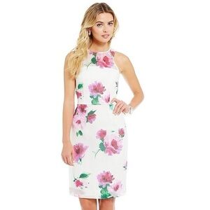 Katherine Kelly Collection